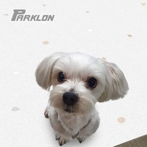 강아지매트 거실 DIY 애견 방수 반려 매트 베란다 쿠션 강아지 롤 묘 애견매트 ghddprjs*973886110gS, 우드하개(10T)(2장)