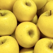 아삭아삭 고당도 프리미엄 시나노골드사과, 5kg 중과 (19-22과), 1개