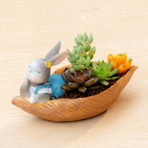 ROOGO 루고 화분 토끼의 추수일기 토끼와 나룻배
