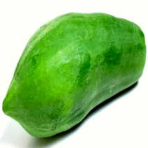 국내산 생 그린파파야 1개 쏨땀 쏨땀재료 동남아채소 아삭하고 싱싱한 그린 파파야 파릇파릇한 산지직송 당일수확 신선한 농장직송 천사의 열매 국산