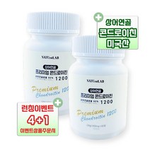 프리미엄 콘드로이친 1200 상어연골 콘트로이친 콘드로이틴 뼈 연골 무릎 관절, 04. 4박스 x 60정 (4개월분)