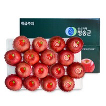 [오늘신선] 경북 청송 명절선물 프리미엄 과일선물 사과세트 5kg(16과내), 단품