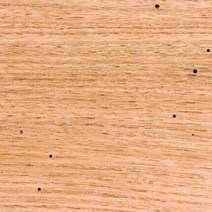 Woodchucks Wood 단풍나무 1.9cm3/4인치 x 5.1cm2인치 40.6cm16인치 단단한 견목 목재 도마 6팩 USA 미국, Butternut x 10