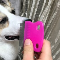 소형견 눈꼽빗 반려견 강아지 얼굴브러쉬 비숑 푸들