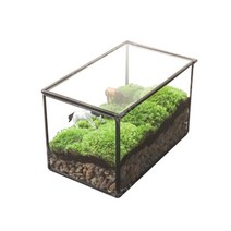 비바리움만들기 비바리움만들기세트 테라리움조명 글래스하우스 비바리움만들기세트diy 정글플랜츠, 너비21 x 폭14 x  높이12cm