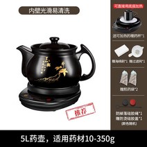 가정용 약탕기 중탕기 한약 달임기 전기 제조기 4L 6L 전기포트, 5L 탕약기