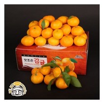 서귀포 하례마을 노지감귤 10kg ( L/2L 95과 내외)