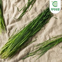 온도씨 [온도씨]가락시장 차이브 1팩(약10g), 단일옵션