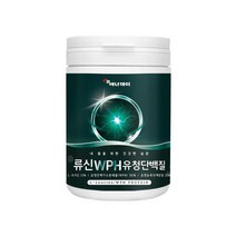 가성비 WPH WPC 유청단백 프로틴 1통 단백질보충, 1개