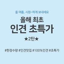 인견초특가 2탄 인견100 인견 23종, 하운드투스