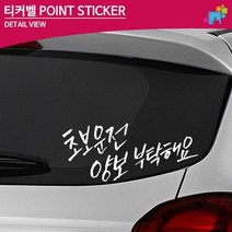 초보운전 양보 부탁해요 차량용 데칼스티커 동호회, 중형, 오렌지