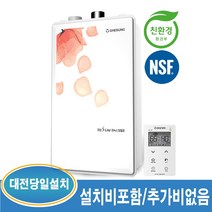 대성쎌틱 DNB 일반 가스보일러 (대전 및 인근지역 설치가능), DNB-20S-33평이하
