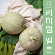 MELON 고당도 메론 국내산 얼스멜론/머스크멜론/ 프리미엄 멜론 1kg내외, 2입
