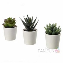 이케아 페이카 인조화분 6CM 3개 실내조경 화분장식 거실화분인테리어