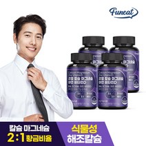 퍼니트 뼈건강 리얼 칼슘 마그네슘 아연 비타민D 90정x4병 12개월분, 기타