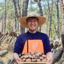 자연산 건표고버섯 효능(슬라이스 표고 백화고 흑화고) 80g