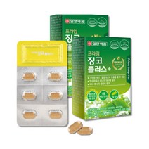 징코플러스 징코빌로바 뇌에좋은영양제 은행추출물 혈행개선제