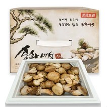 [젊은농부] 송화버섯 정품1kg 최고급형(특등급) 선물세트 무농약 명절(j설날선물) 국산 이중포장