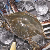 [당일조업발송] 오늘 잡은 싱싱한 서해안 활꽃게 가을 꽃게 숫꽃게/암꽃게 빙장포장, 3kg 9-15미