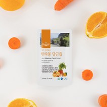 제주 제철진미 제주다믐 구좌 당근즙 세트(100ml 30), 단품, 단품