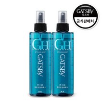 갸스비 그로스 앤 하드 스타일링 미스트 250ml 2개, 단품