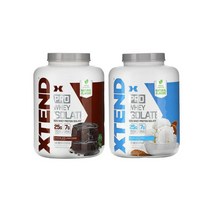 분리유청단백질 프로틴파우더 운동프로틴 해외직구 운동선수 고함량 단백질쉐이크 XTEND 초콜릿 케이크 대용량 2.3kg, 바닐라아이스크림 2.27kg