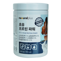 초유분말 피쉬콜라겐 프로틴 파워 450g 농축유청단백 비타민함유 동물성 식물성 단백질, 1개