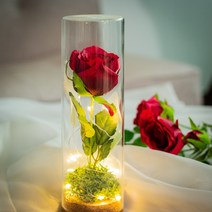 아름다운 미녀와야수 영국 장미 무드등 만들기 미술재료 꽃 부자재 취미키트 기념일 악세사리