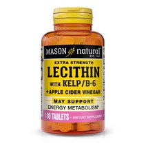 매이슨네츄럴스 Mason Naturals 레시틴 With 켈프 B-6 플러스 사이더 비니거 타블렛, 100정, 1개
