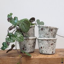 식물시간 zic pot 시멘트 미니 화분 다육 원형 화기