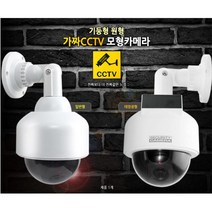 부착형 방범 보안 택배 모형 CCTV 카메라 개인안전, 일반형