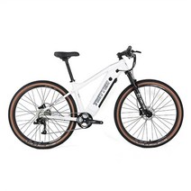 배달용 산악 2022 새로운 디자인 트위터 Ebike E300 Alu 합금 전기 자전거 eMTB 48V 허브 모터 이동식 배터, 01 WHITE, 04 29x18