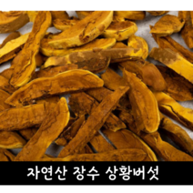 [국내산/국산] 자연산 장수 상황버섯 특품 절편 100g 자연재배 노화방지 베타카로틴 리놀레산 눈에좋은 약재 버섯 상황 상황버섯차 말린 건조