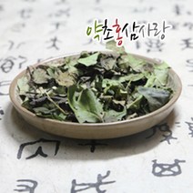 약초홍삼사랑 국산 구찌뽕잎 꾸찌뽕잎 차, 1개, 600g