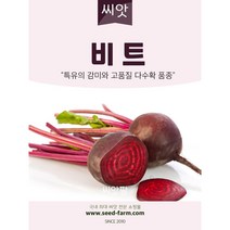 씨앗팜 비트씨앗 (200립)