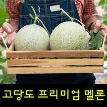 영화농산 프리미엄 멜론 16kg 곡성멜론 멜론가격영화농산 프리미엄 멜론 16kg 곡성멜론 허니듀메론 칸탈로프멜론 하니원멜론 멜론가격 양구멜론 머스크멜론 여름과일 과일, 1개