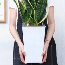 엔티크 벽돌무늬 대형화분(WTP-B11), 화이트