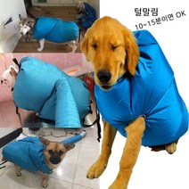 김앤강 반려동물 드라이수트 드라이룸 견조기 드라이기 털관리 미용용품, L사이즈