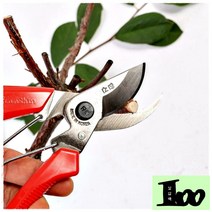 oth 한신전정가위, k1200d한신 정전가위-레드