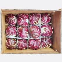 라디치오 1통 350g