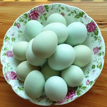 덕적골 자연청계란 부화용 40구 아메라우 청계, 2,240g, 1개