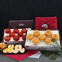 [우체국쇼핑] 사과 배 1+1 선물세트 8kg 고급형 제수용(사과 3kg+배 5kg), 상세 설명 참조