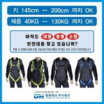 동현테크 [세계 최초 프리사이즈 안전벨트] - 더블 죔줄 벨트X, Free-S-N-02 (형광색) 벨트X, 1개