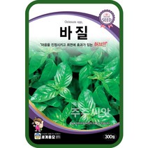 바질 씨앗 300립 스위트바질 허브씨 종자, 단품