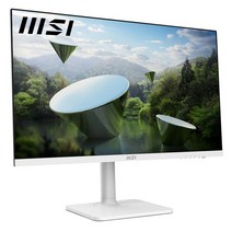 MSI 27인치 모니터 모던 MD272PW IPS 아이케어 PD65 / sy, 결점