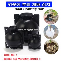 한누리팜마트/꺾꽂이뿌리재배상자 (중형)/꺾꽂이상자/뿌리내리기상자, 1개