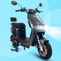전기 전동 스쿠터 에코드라이브 타이탄1000 60V 800W 30Ah 에코라이즈 보험가입가능, 50Ah(120km주행)+배달렉, 그레이
