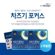어두운 곳 흐릿한 피로한 남성 여성 안구 눈 노화 노안 영양제 잦은 장시간 야간 운전 스마트폰 빛 반응 에 좋은 빌베리 루테인, 2BOX(2개월분), 2개