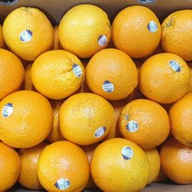 실속형 호주 고당도 네이블 오렌지 (사이즈랜덤), 1box, 17kg내외
