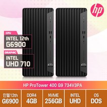 HP 프로타워 400 G9 734V3PA 12세대 G6900 FreeDOS 윈11 사무용 데스크탑, 메모리 4GB/SSD 256GB, 운영체제 없음, 램4G무상업그레이드